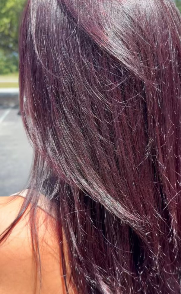 Dark Violet Color